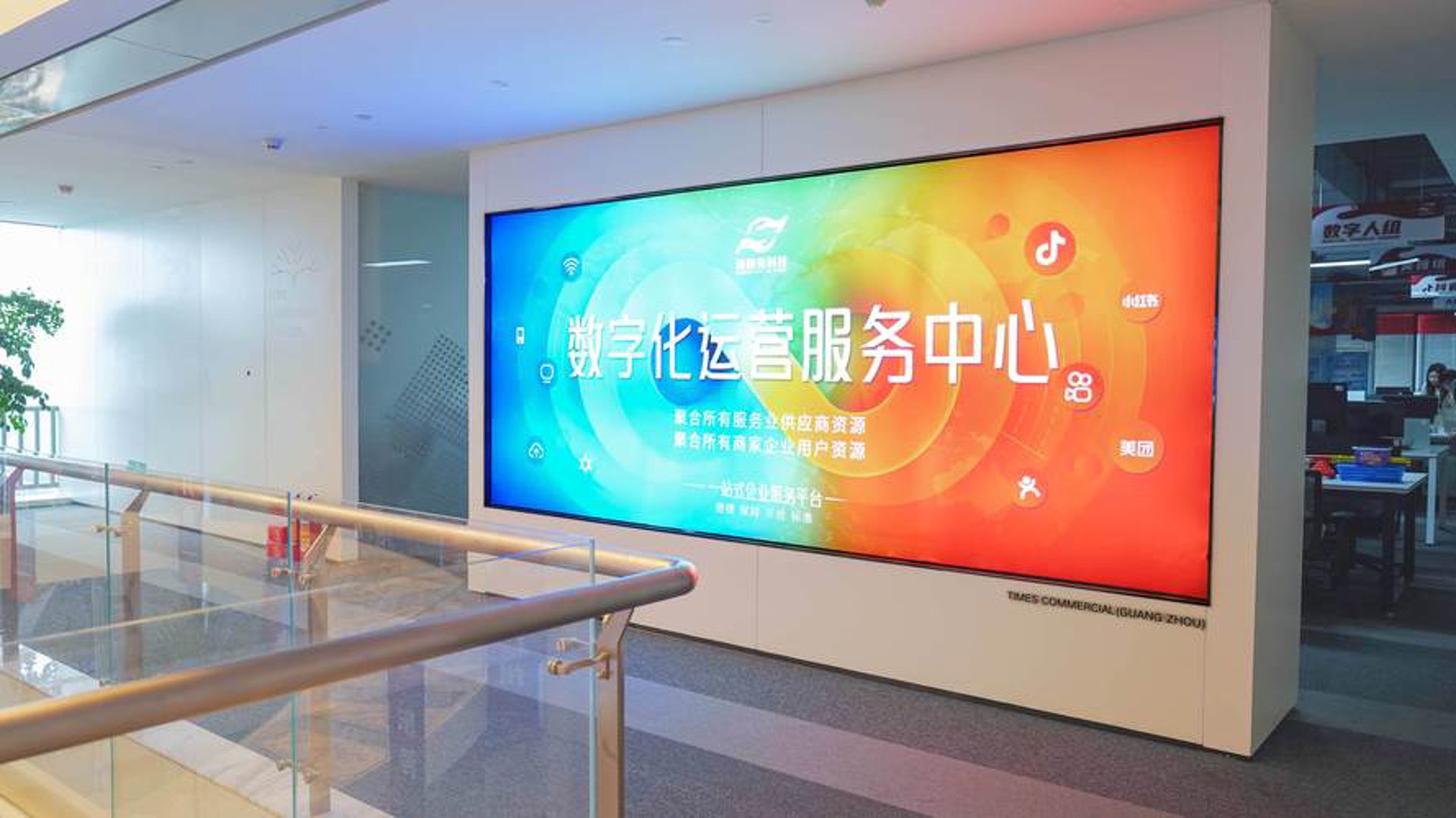 九拍网络